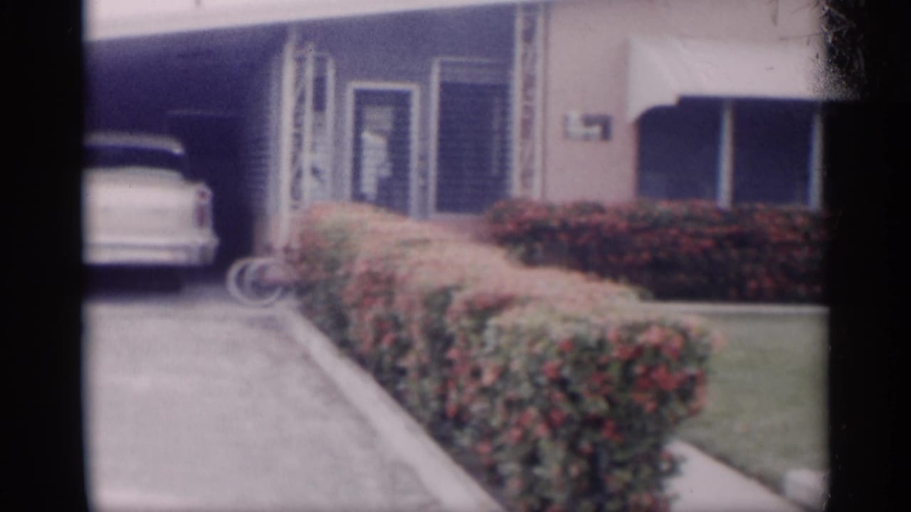 Driveway beside a mid-century house with a white car under a carport and trimmed hedges.
