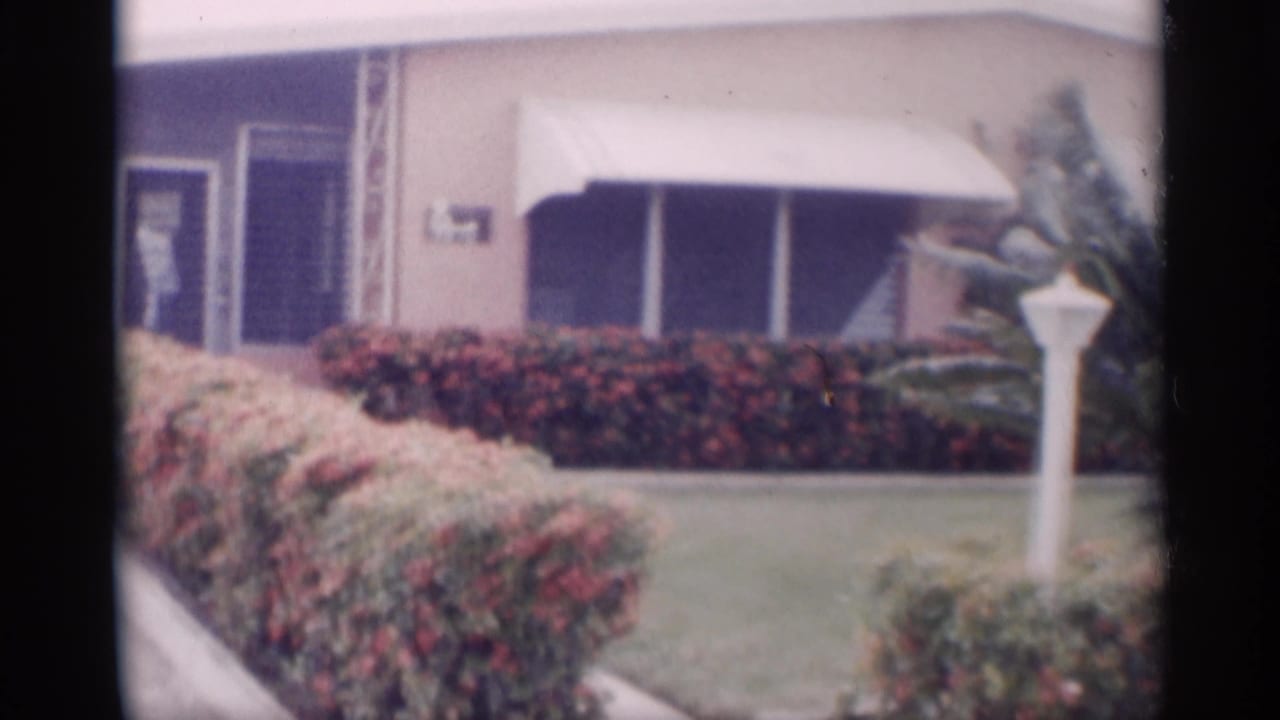 Front yard with flowering hedges, house windows, awning, lawn, and a white lamppost.