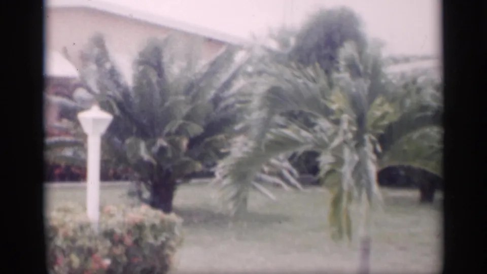1959 California 8mm frame with palm trees and a white lamppost in a landscaped suburban front yard beside the house.