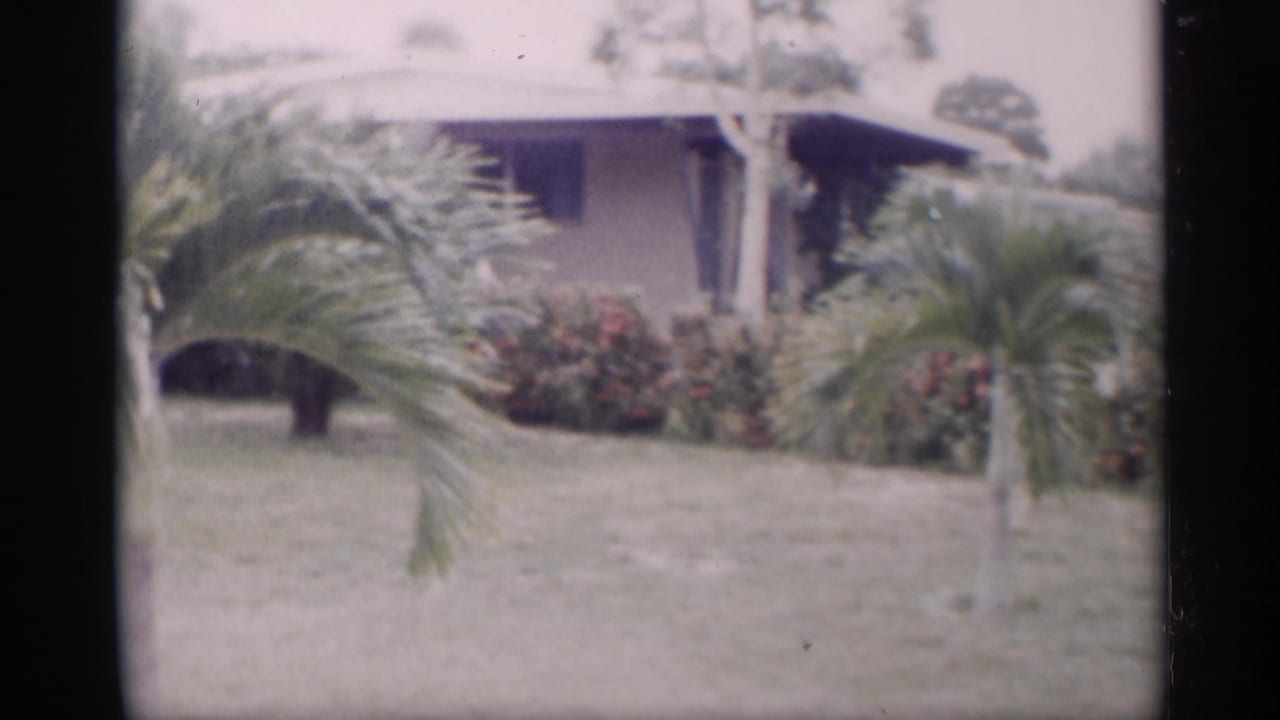 Palm trees and flowering shrubs in front of a low house and lawn.