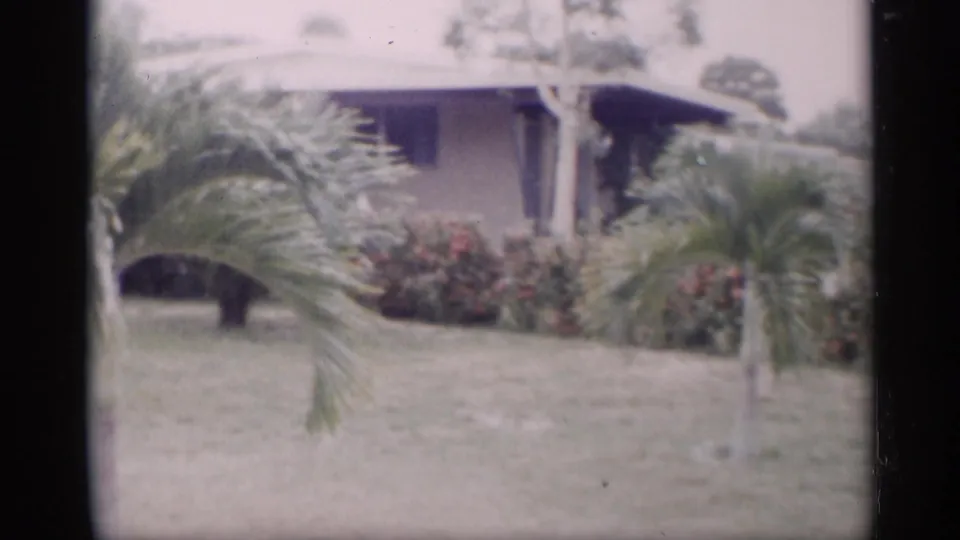 1959 California yard view with small palms, red flowering hedge, grass lawn, and a low residential house in the background.