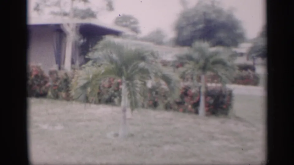 1959 California 8mm frame with a palm on a lawn, red flowering shrubs, a low fence or edging, and a house corner.