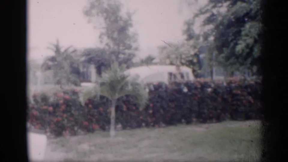 1959 California home-movie frame showing a lawn, small palm, flowering hedge, trees, and a pale residential structure in soft focus.