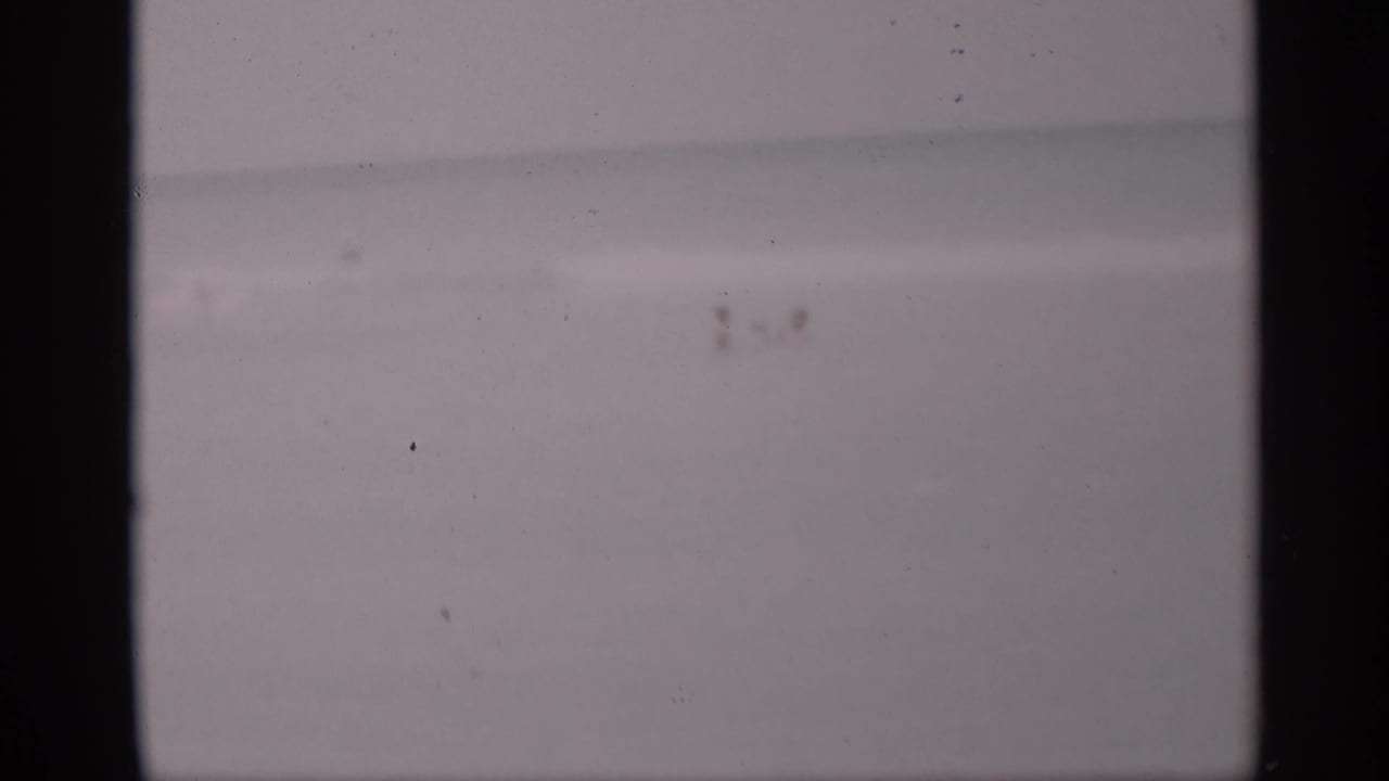 Soft 8mm view of distant people wading in the California surf, with the ocean horizon filling most of the frame.
