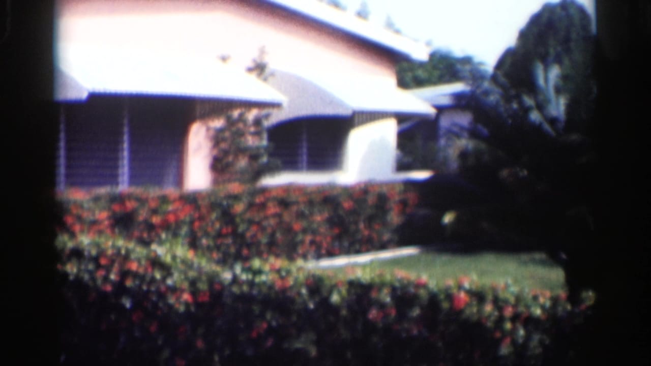 House facade with white awnings, red hedges, lawn, and dark trees at right.