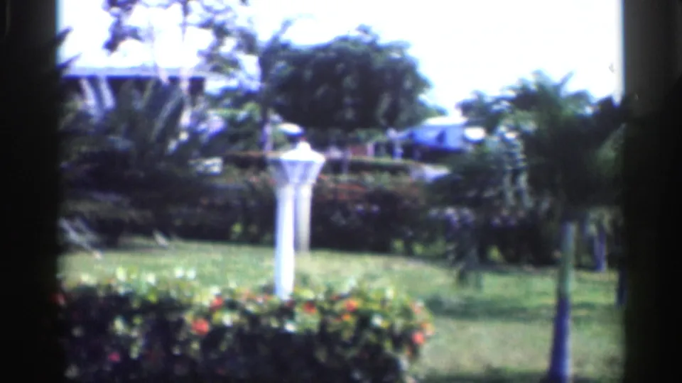 1959 California home-movie frame showing a white yard lamppost, green lawn, hedges, palm planting, and residential garden trees.