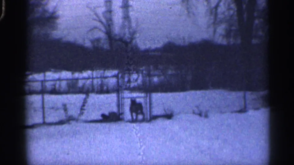 Wider 1959 California 8mm view of the snowy backyard, showing the dog in a metal enclosure near fencing and bare trees.