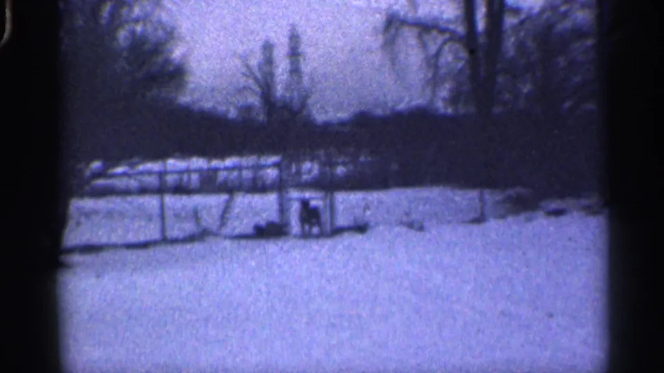 Distant 1959 California home-movie frame of the snowy yard, with fencing, bare trees, and the dog enclosure near the right side.