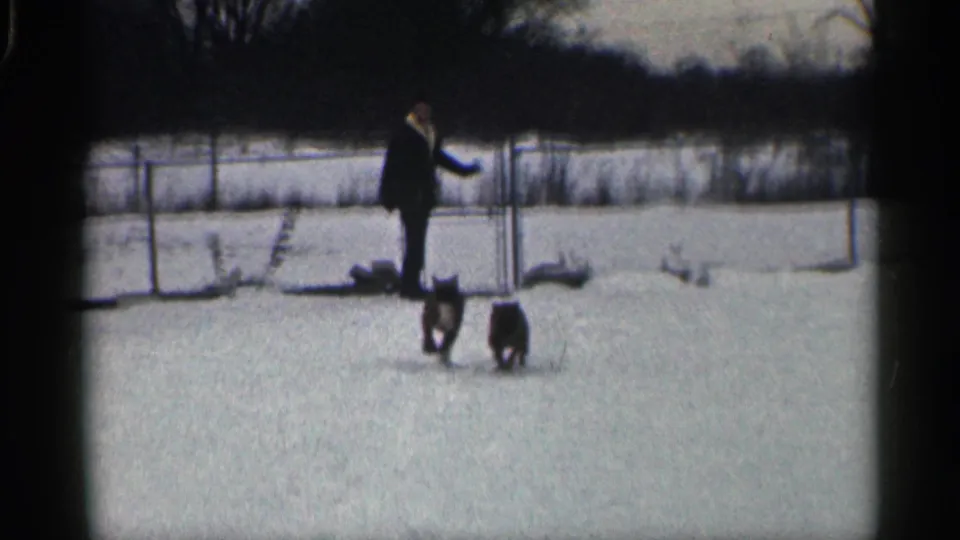 Two dogs trot away from a man standing beside a chain-link fence in a snowy 1959 California backyard scene.