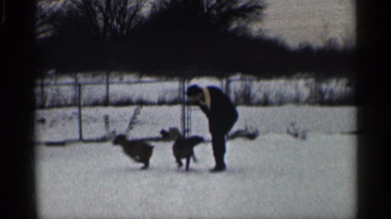 A man bends toward two dogs in a snowy fenced yard.