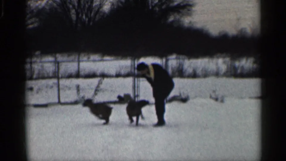 In a snowy California yard, a man in a dark winter coat bends toward two dogs near a chain-link fence.