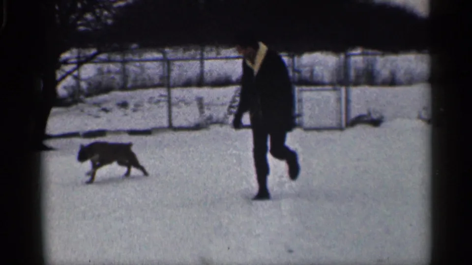 A man in a dark coat walks across the snowy yard as a dog moves ahead of him near the fence line.