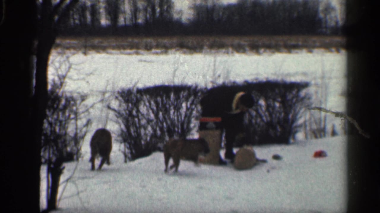 1959 California home-movie frame showing two dogs in snow as a bundled person bends near outdoor items by bare shrubs.