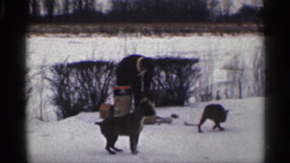 1959 California snowy yard scene with a boxer-type dog in the foreground, another dog at right, and a bundled person near shrubs.