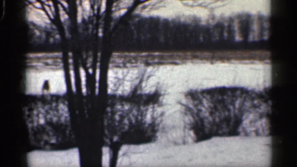 A snowy yard with bare trees, hedges, and a small dark portion of the dog near the edge, captured on 8mm home-movie film.