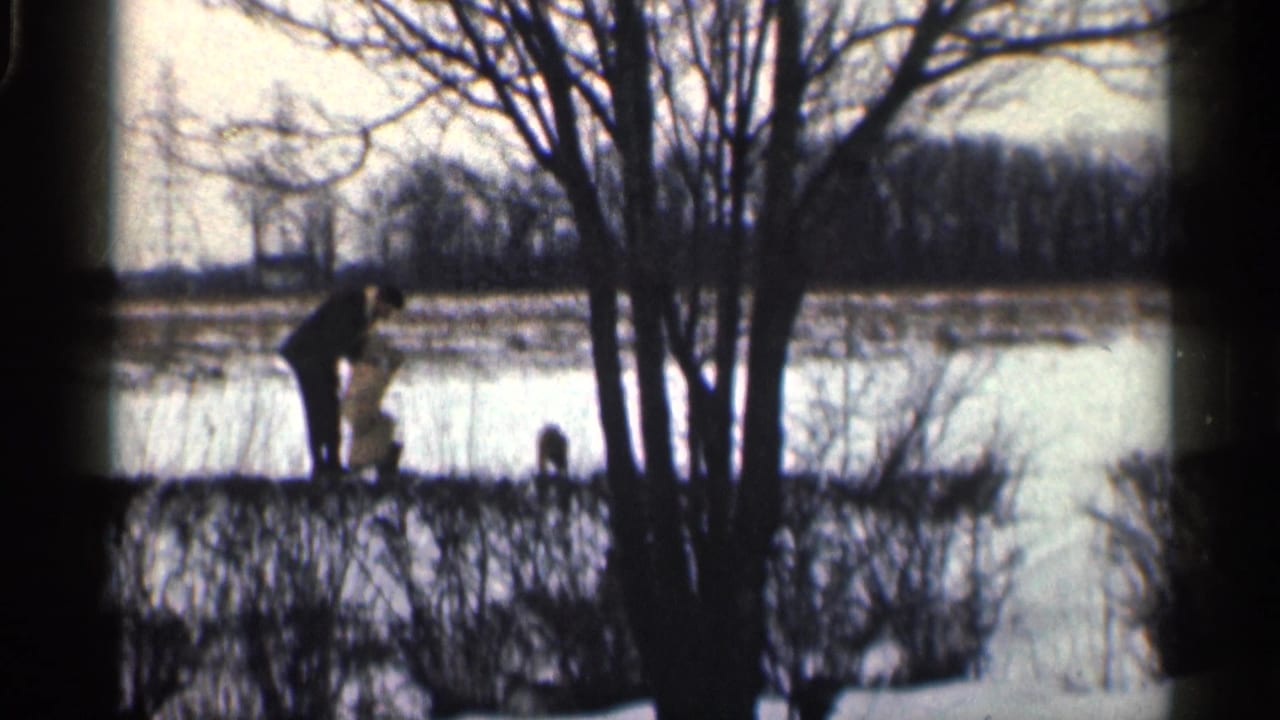Distant man and two dark dogs near bare trees beside a snowy pond or field.