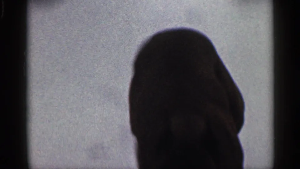 A dark dog passes very close to the camera in the snowy California home-movie scene, filling much of the foreground.