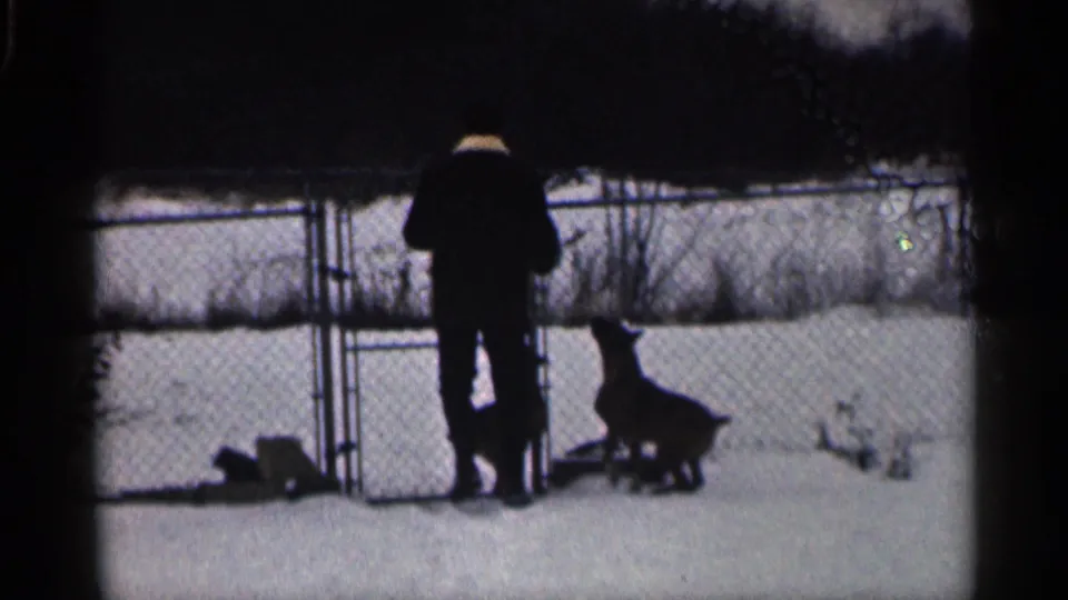 A man in a dark coat stands by a chain-link gate while two dogs wait nearby in the snowy yard.