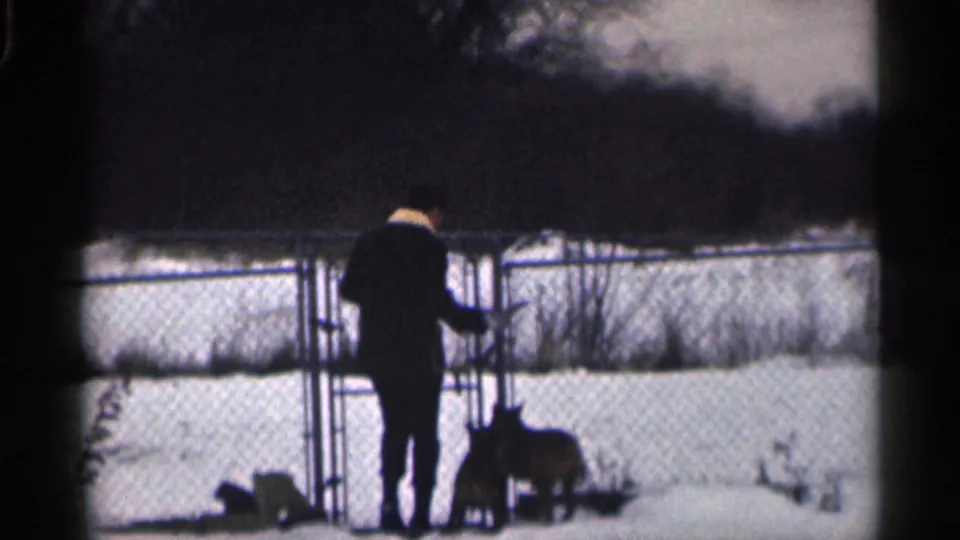 The man appears to handle the chain-link gate as the dogs stand close by in the snowy backyard.
