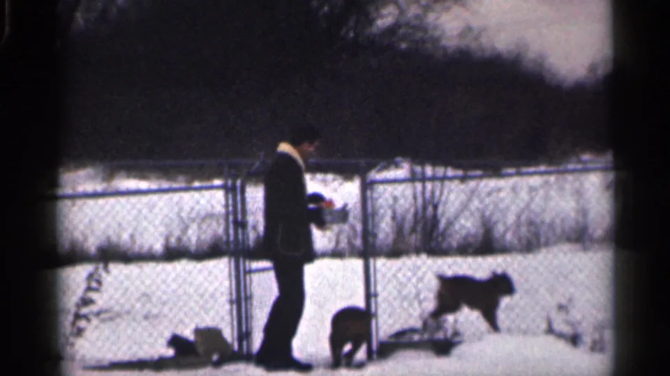 Two dogs move away through the snow while a man remains near the chain-link gate in the 1959 California home movie.
