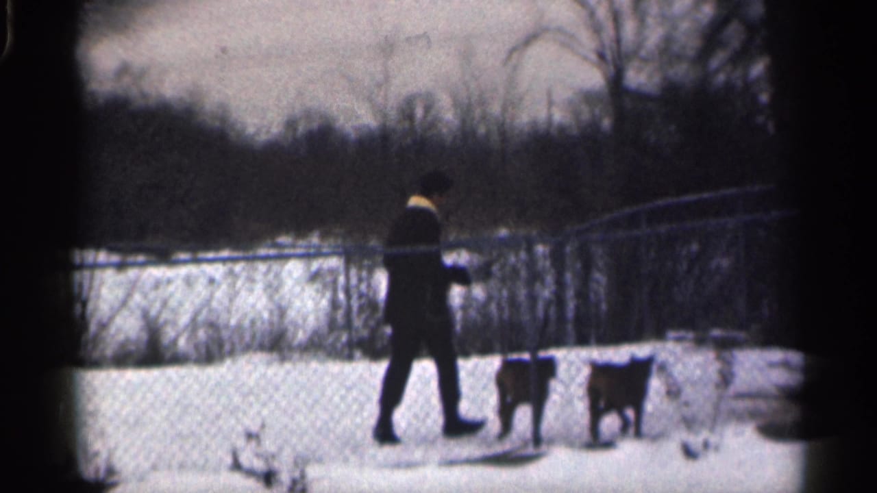 Man walks across the snowy yard as two dogs follow beside the fence.