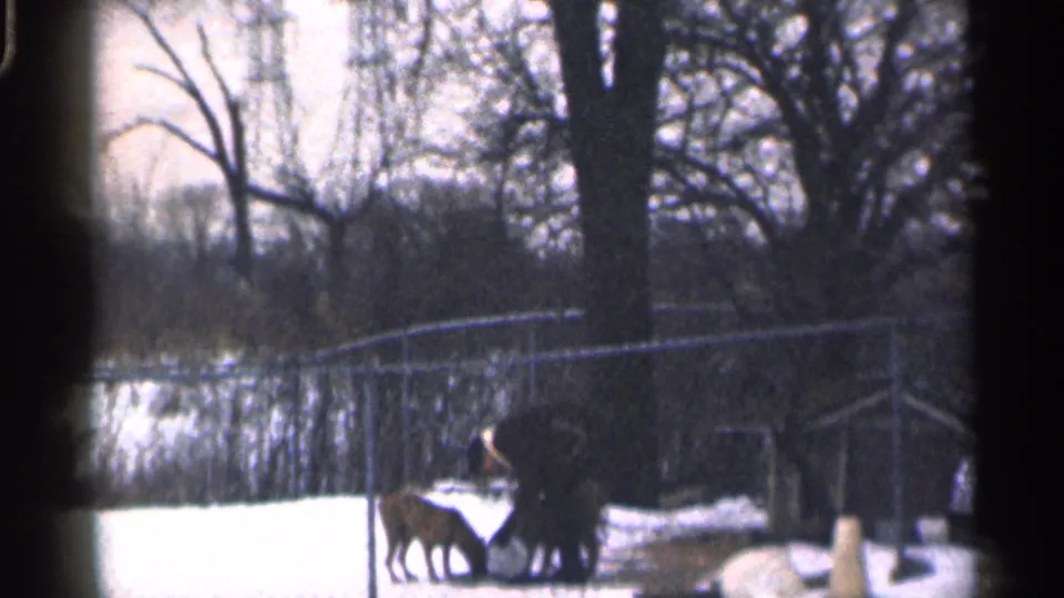 1959 California home-movie frame showing a snow-covered yard, chain-link fence, bare trees, and animals near a bundled man.