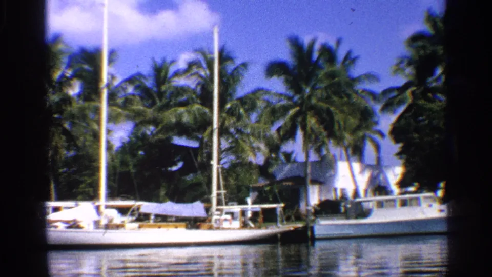 1959 California 8mm frame of sailboats and a motorboat moored along a palm-lined marina.