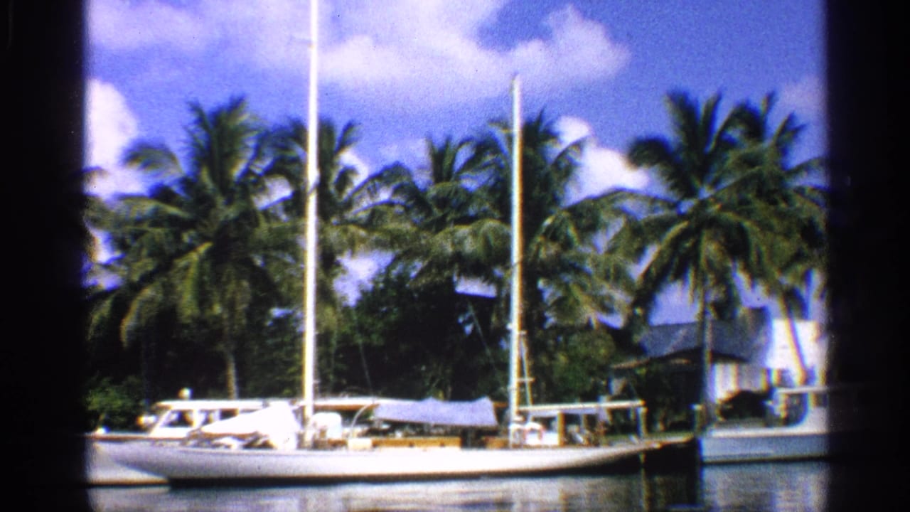 White sailboat docked near palms with a small building in the background.