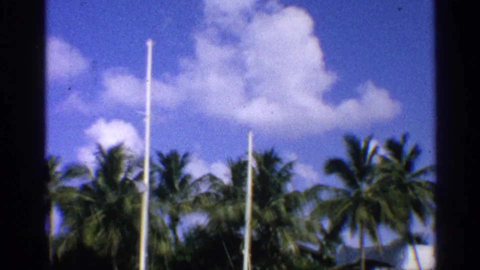 1959 California marina frame with palms, sailboat masts, low roofs, and large white clouds overhead.