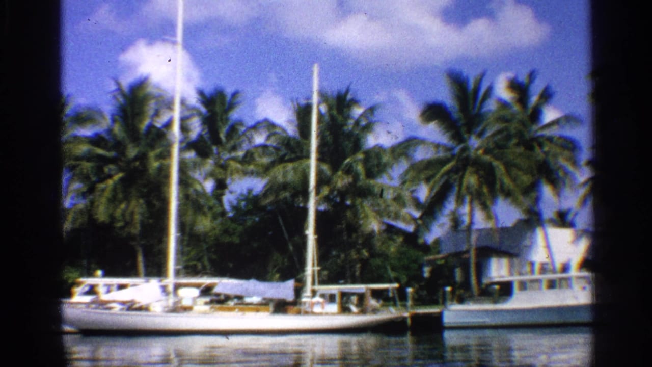 White sailboat moored on calm water with palm trees and blue sky behind it.