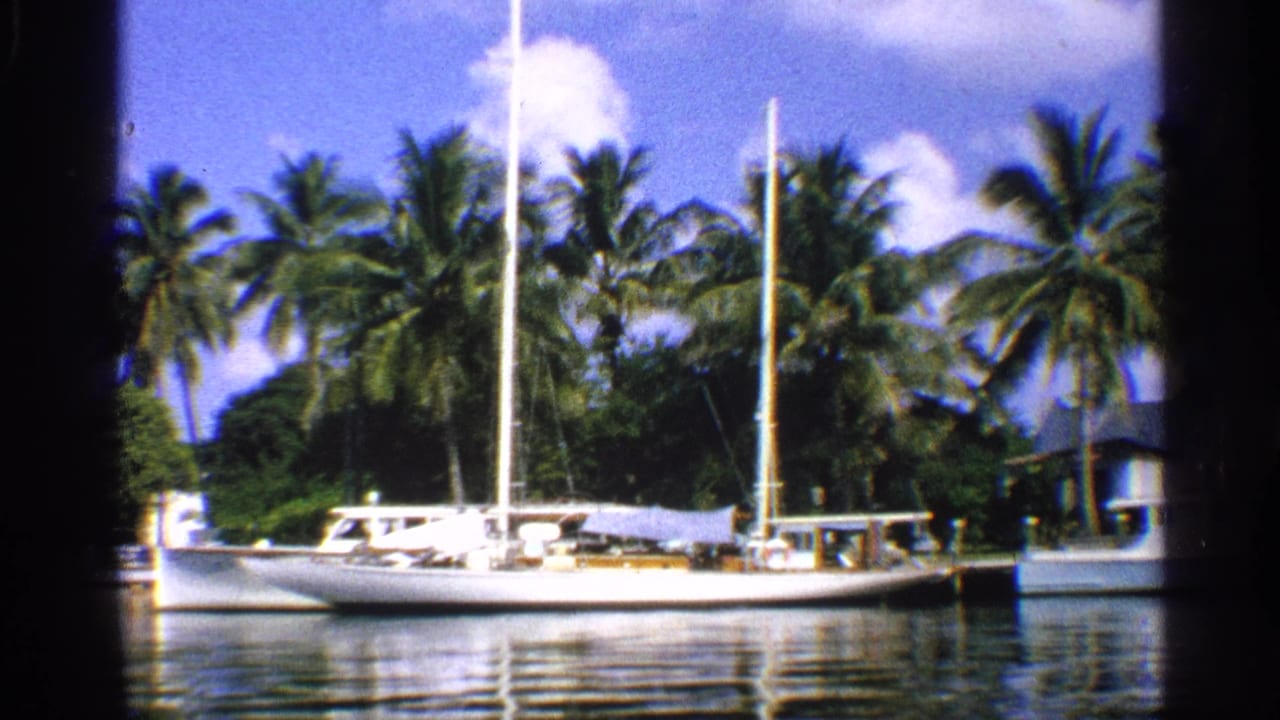 White sailboat and nearby boat against a line of palm trees on a sunny waterfront.
