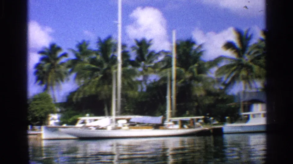 1959 California 8mm frame of a moored white sailboat, palm-lined shore, reflective water, and another boat partly visible at right.