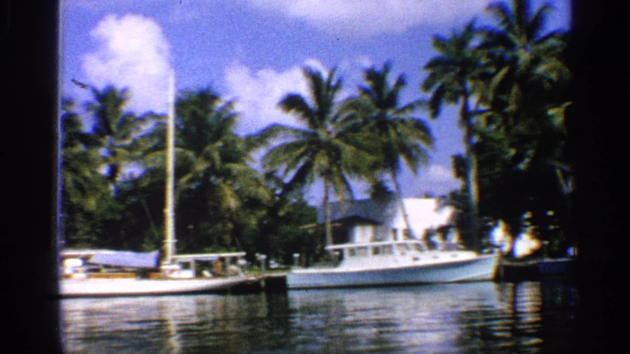 White boats moored along a palm-lined waterfront under a blue sky.
