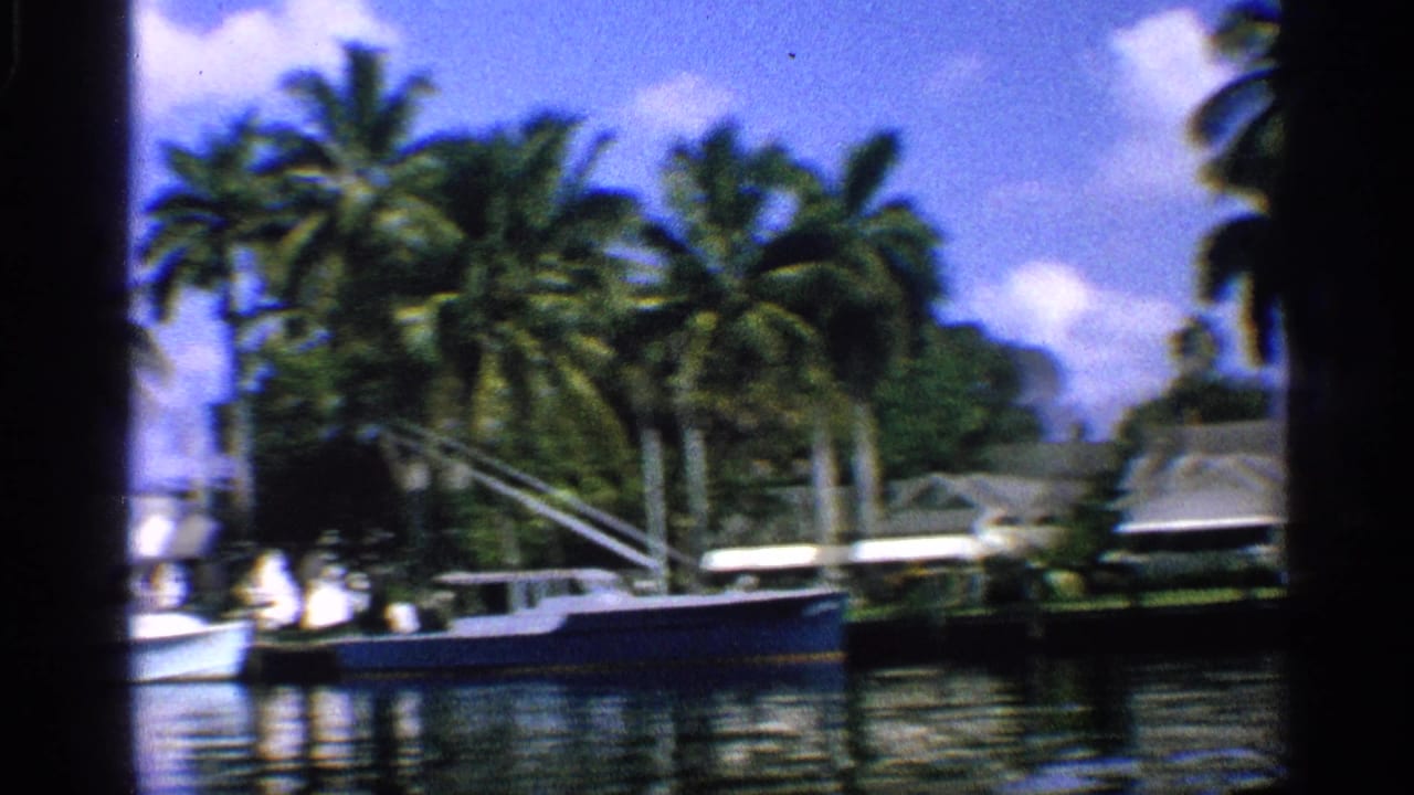 Moored sailboat and dock area with palm trees and shoreline buildings.