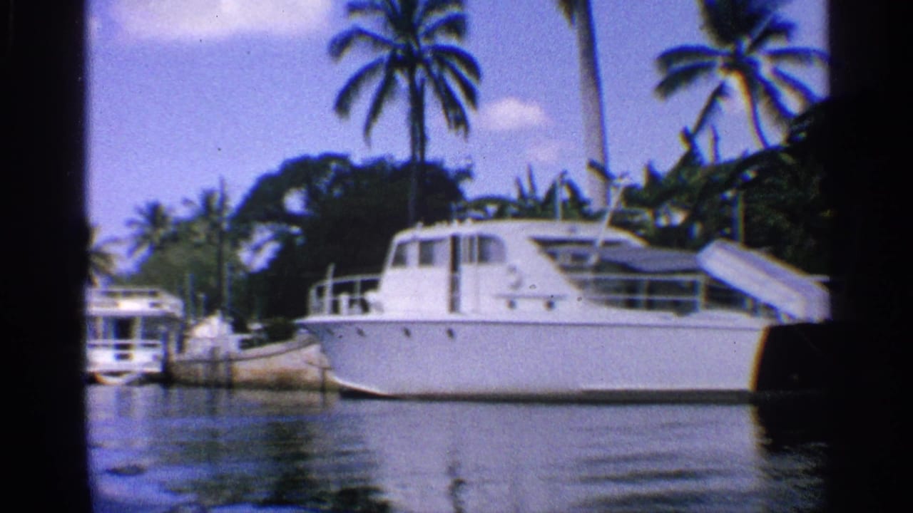 White motorboat near a dock with palm trees and another boat in the background.
