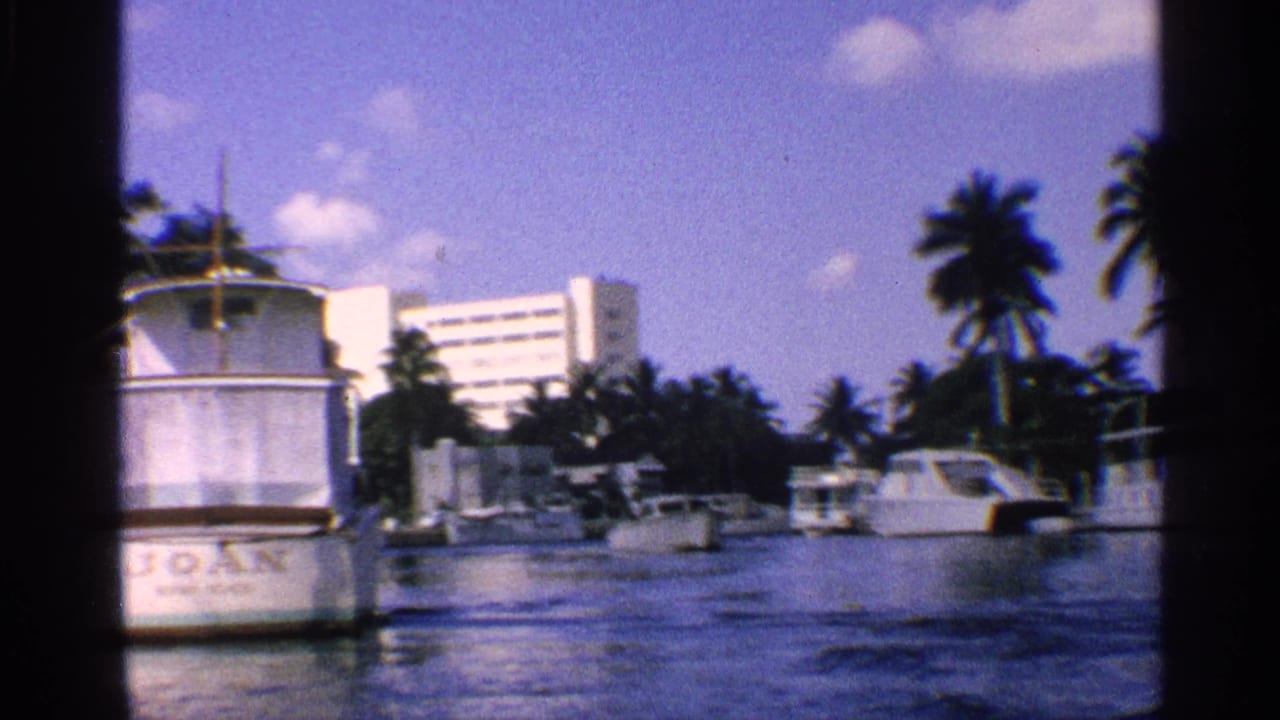 Moored boats and palm trees along a canal with a large white building behind them.