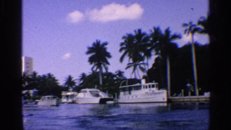 1959 California 8mm frame looking across a canal toward moored pleasure boats, tall palms, shoreline trees, and bright sky.