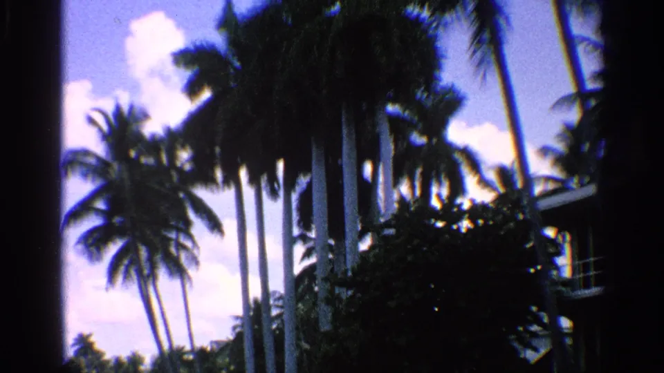 1959 California 8mm frame with palms, tropical planting, and a partial waterfront structure visible near the edge.