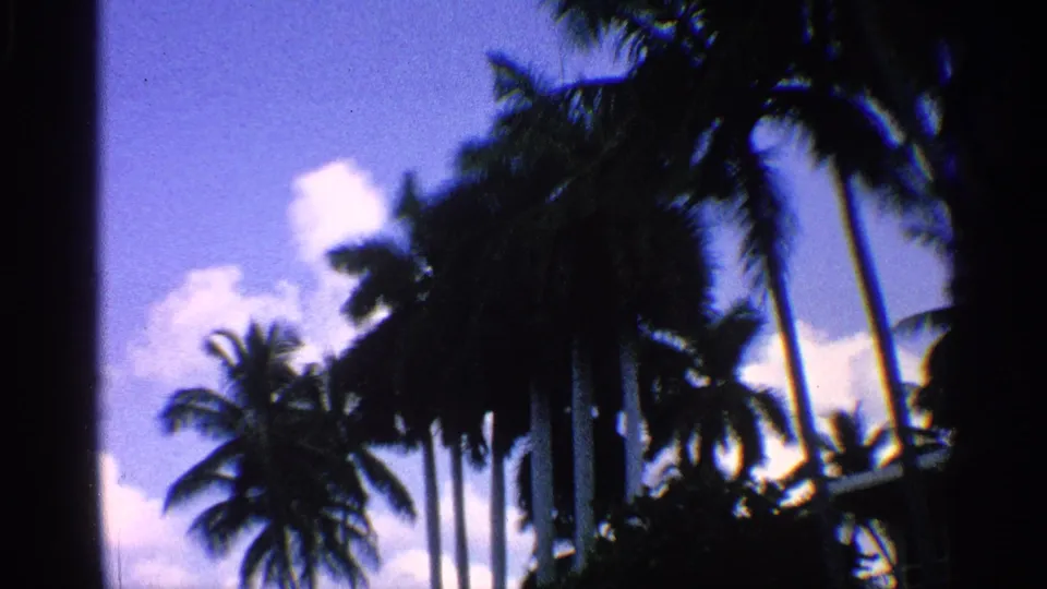 1959 California 8mm frame looking up at palm trees and scattered clouds, with dark foliage and film borders visible.