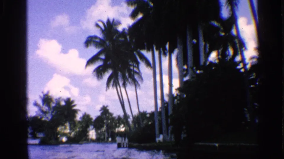 1959 California 8mm frame showing a waterfront lined with palms and dense vegetation beneath a clouded blue sky.