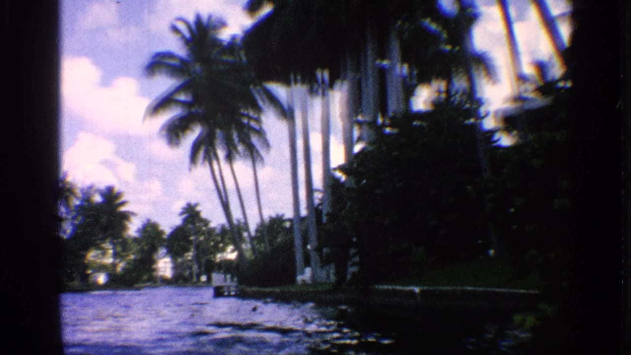 1959 California 8mm view from a boat along a palm-lined waterway with dense greenery and distant waterfront structures.