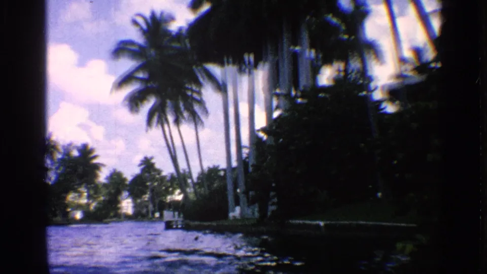 1959 California 8mm view from a boat along a palm-lined waterway with dense greenery and distant waterfront structures.