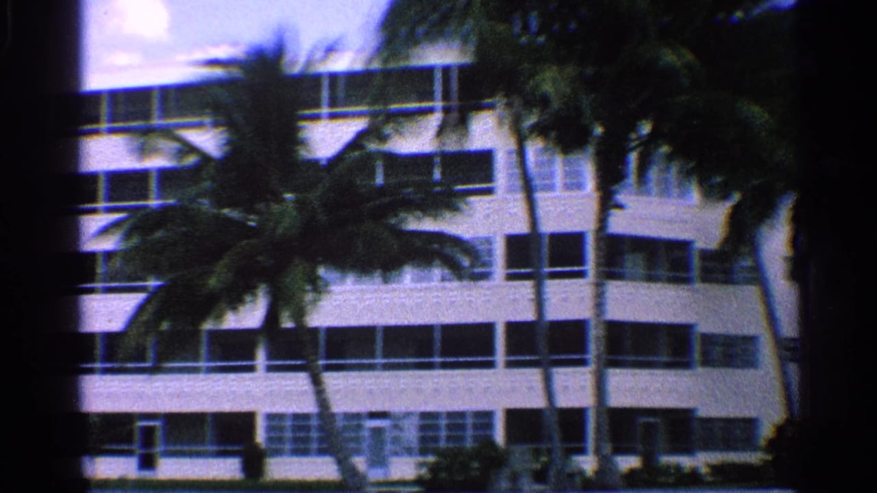 Palm trees stand in front of a white building with rows of windows.