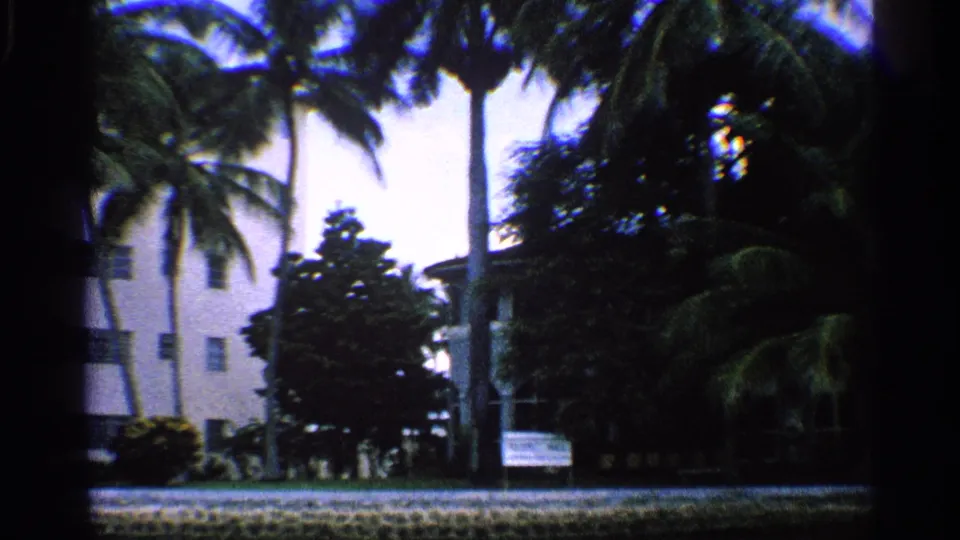 1959 California frame showing palms, dense greenery and a white lodging exterior partly hidden by trees.