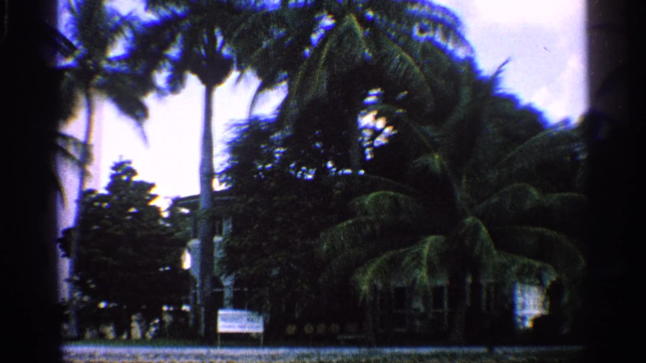 1959 California home-movie frame showing palm trees and dense greenery near a white waterfront hotel.