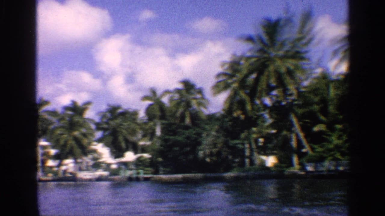 1959 California 8mm view of palm-lined waterfront residences across calm water under a bright sky.