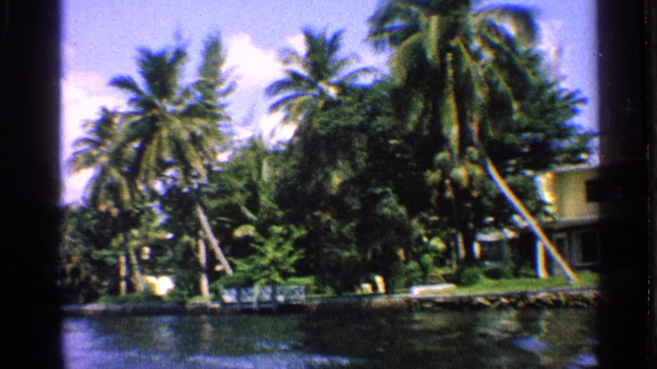 Dense palms, shrubs, and a light-colored waterfront house beyond the water.