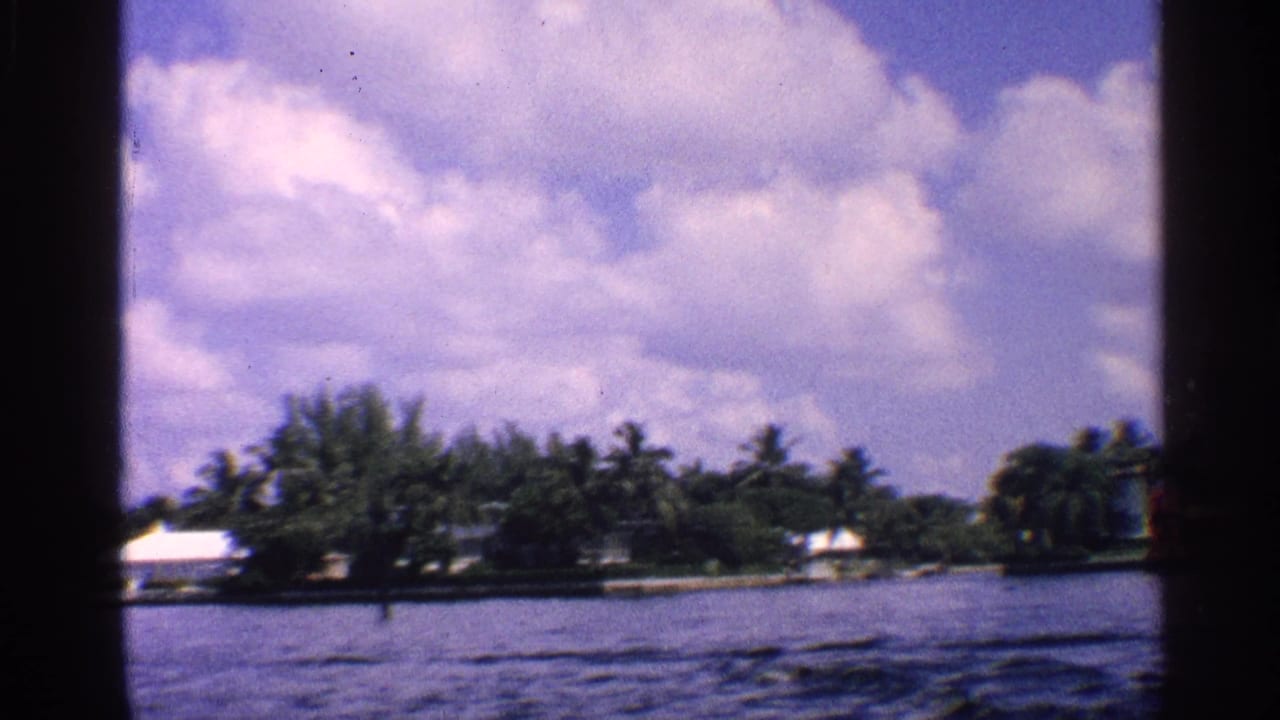 Wide waterway view with trees, a white-roofed structure, distant shoreline, and cloudy sky.