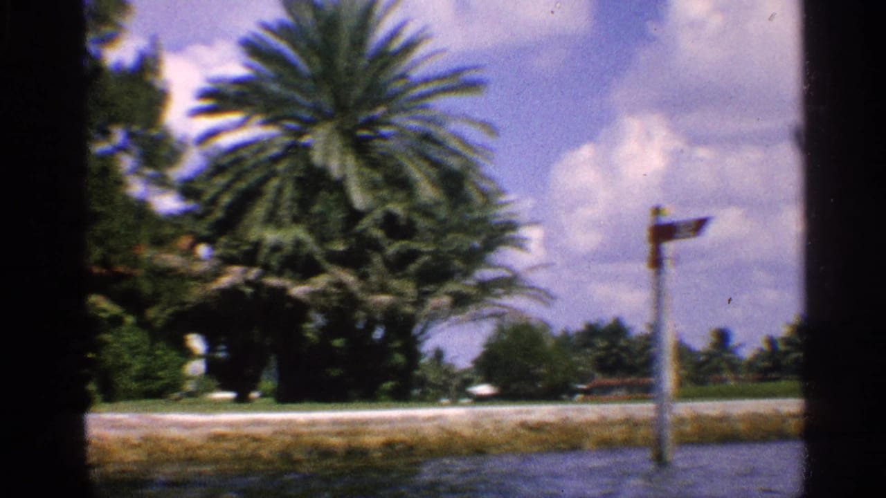 1959 8mm California waterway view with palms, a shoreline path, distant waterfront homes, and a small directional signpost.