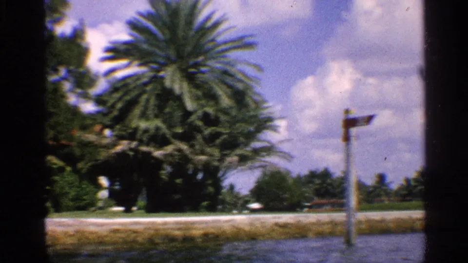 1959 8mm California waterway view with palms, a shoreline path, distant waterfront homes, and a small directional signpost.